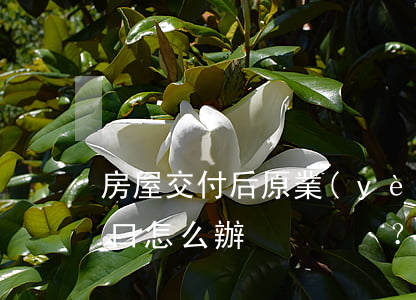 房屋交付后，原業(yè)主遲遲不肯遷出戶口怎么辦？